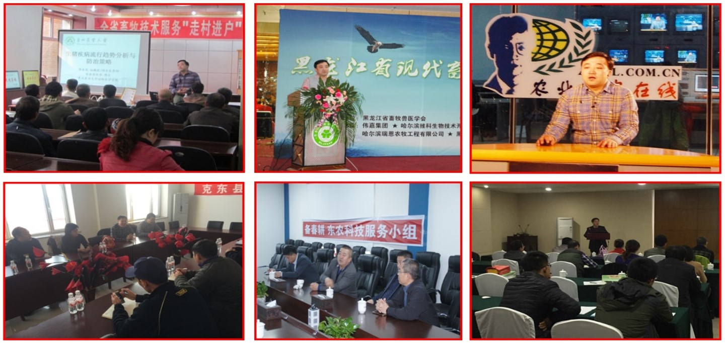 Picture3.jpg Picture3.jpg