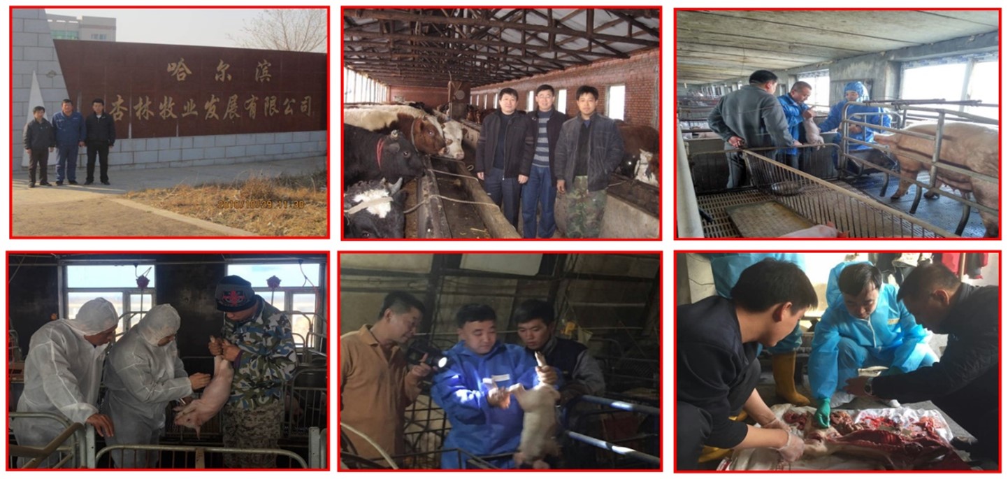 Picture2.jpg Picture2.jpg