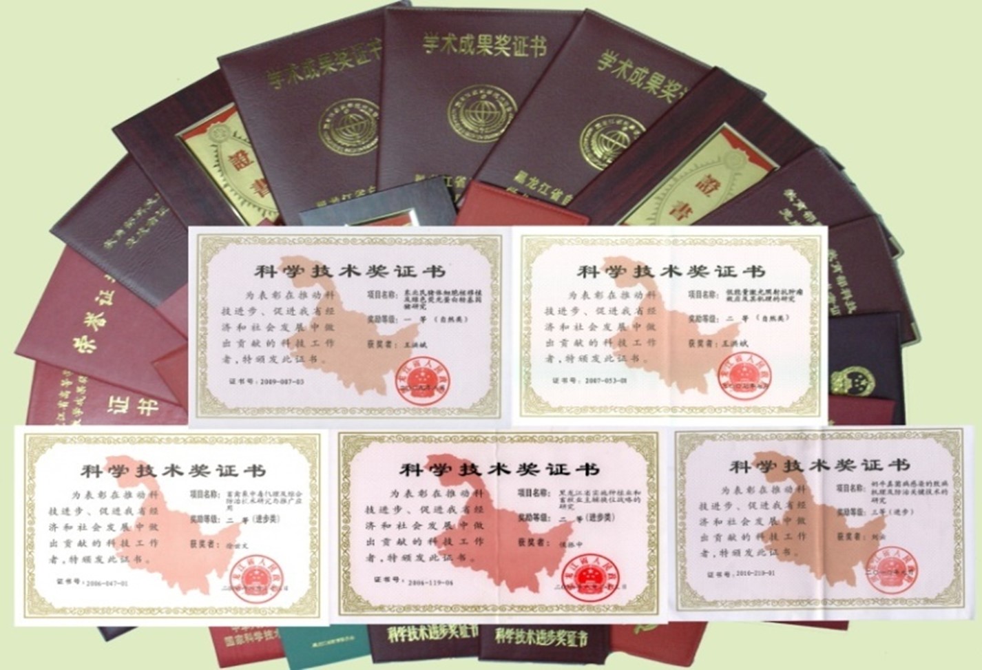 Picture1.jpg Picture1.jpg